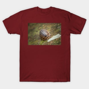 A furious looking woodlouse T-Shirt